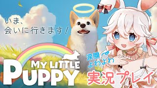 【MY LITTLE PUPPY】天国とペットの話？！涙腺よわよわやけど実況プレイしてみる　＃１【マイリトルパピー】【ネタバレ注意】