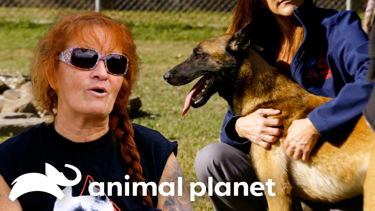 Rescued Dog Has Trouble Settling In! | Pit Bulls and Parolees | Animal Planet