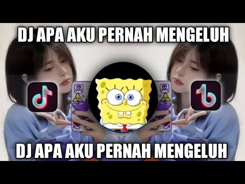 DJ APA AKU PERNAH MENGELUH || DJ SLOW VIRAL TIK TOK
