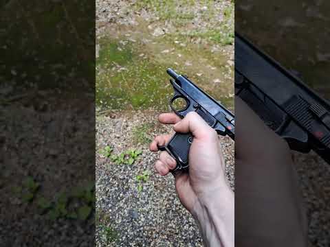 Walther PP no K #gun #fps