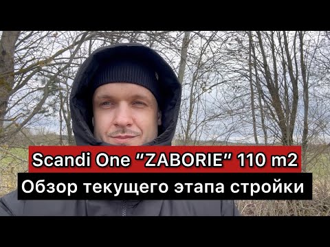 Scandi one скандинавский каркасный дом 110 м2