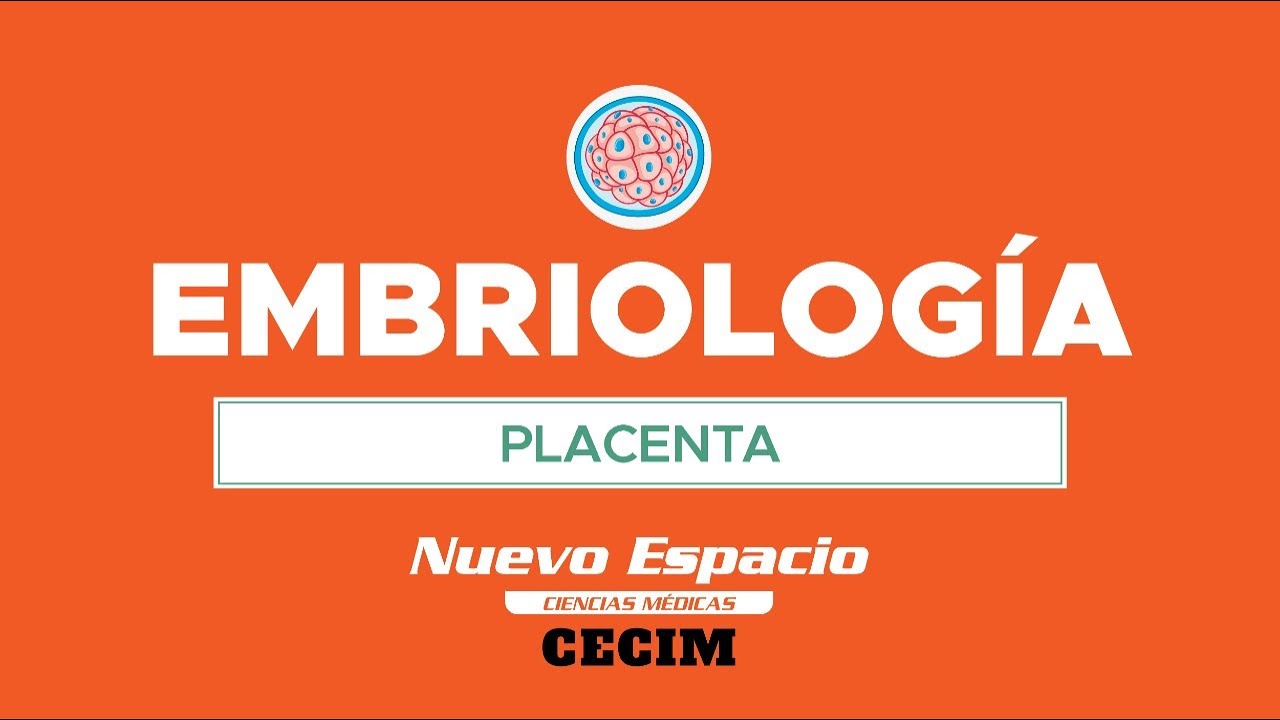 PARALELO DE EMBRIOLOGÍA - PLACENTA