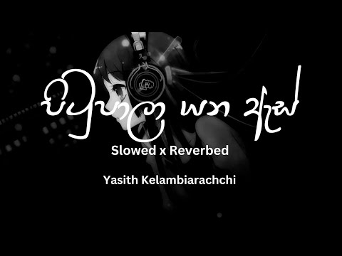 Pitupala Yana As (පිටුපාලා යන ඇස්) Slowed and Reverbed -  Yasith Kelambiarachchi #india #dilubeats