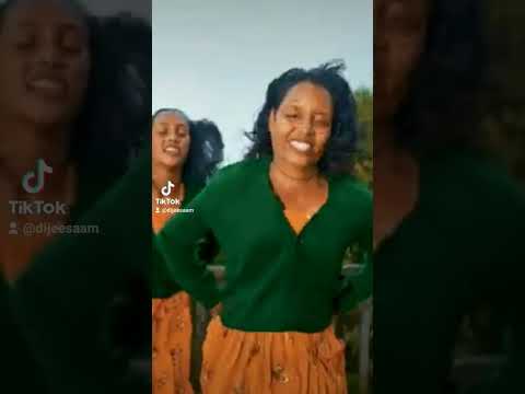 Dhaabaa Caalaa - Yaa Baala Fooxaa - New Ethiopian Afaan Oromoo Music Video ( Official Video 2023)