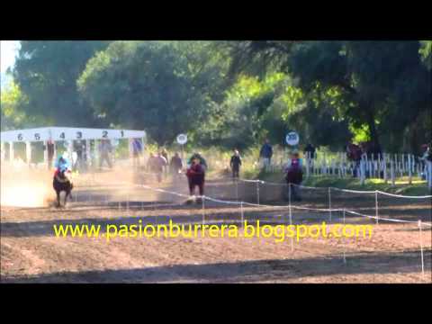 Clasificatorias Polla Potrillos RDA Frias (14-06-14)