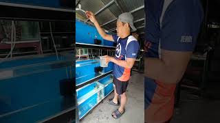 PART 3...PAGLILINIS NG AQUARIUM,MAGLALAGAY NA TAYO NG TEST FISH PARA MABILIS MA CYCLE.