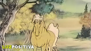 Bronco - Cuatro Caballos