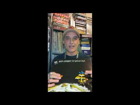 O verão de 1982 pode ser considerado o marco zero do rock nacional?