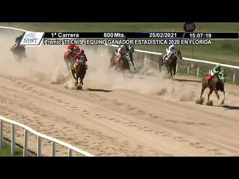 SINT FLORIDA 210225 c01 1° HERMOSA ROSA