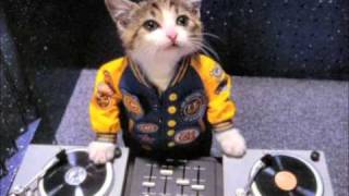 Darren Styles vs Hypasonic - Baby Ill Let You Know (Arkitek Remix Sample).wmv