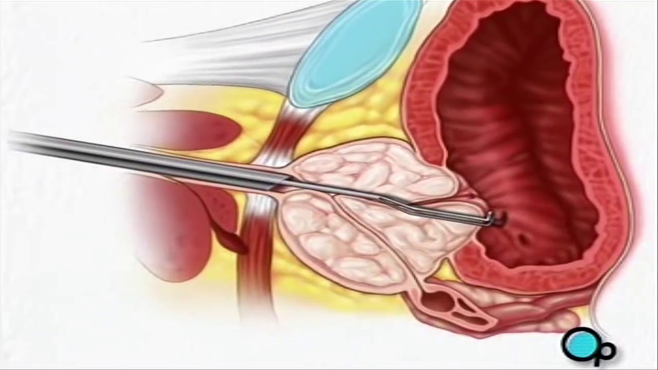 Enzo Mastroberardino-5