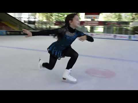 Holiday on ice 2018. Meine Bewerbung