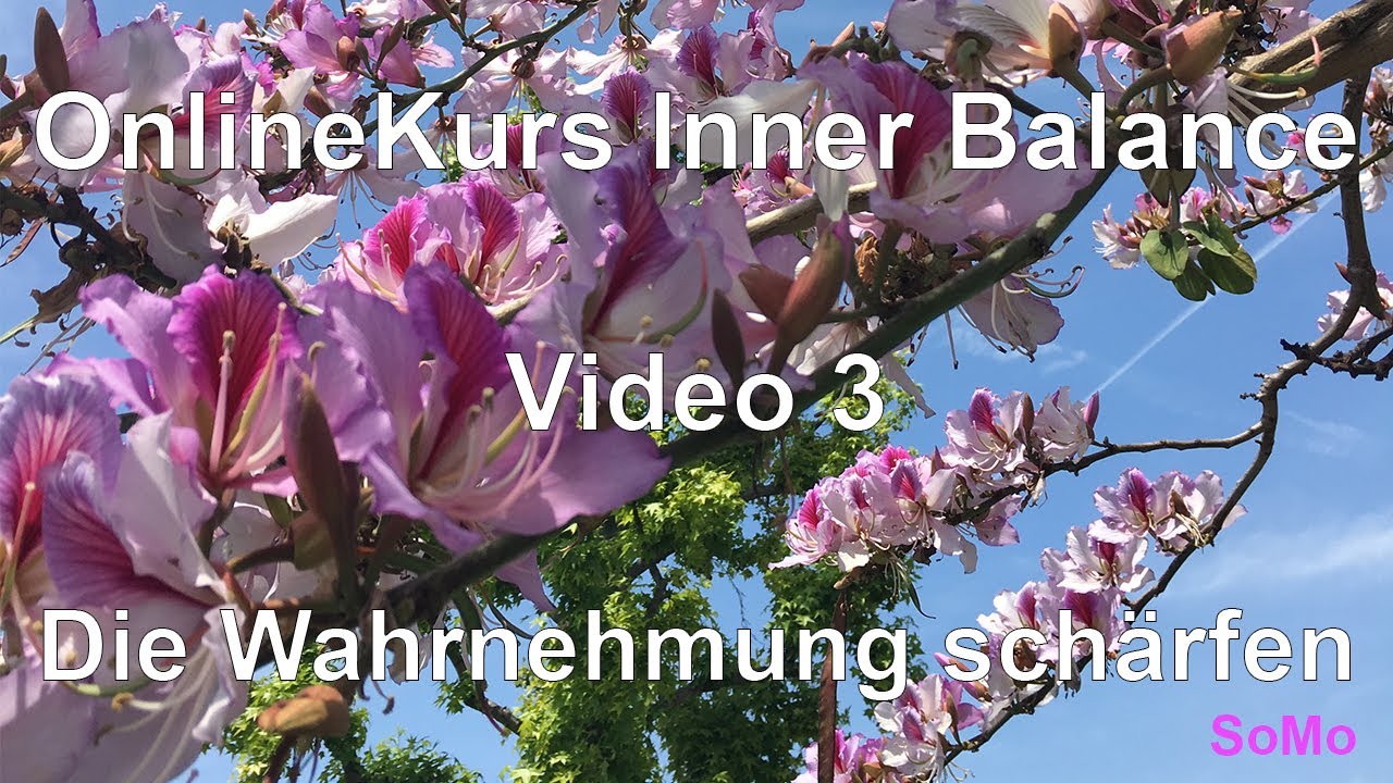 OnlineKurs Inner Balance | Video 3 | Die Wahrnehmung schärfen