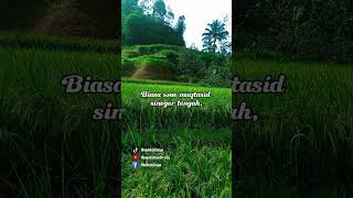 Download lagu hirup mah B ajah #desaku #pedesaan #papatah #pepeling #sunda mp3