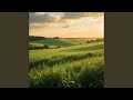 Green Fields and Golden Skies