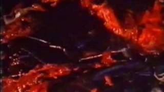 Ciclo: "Master Of Trash" Un Gatto Nel Cervello di Lucio Fulci