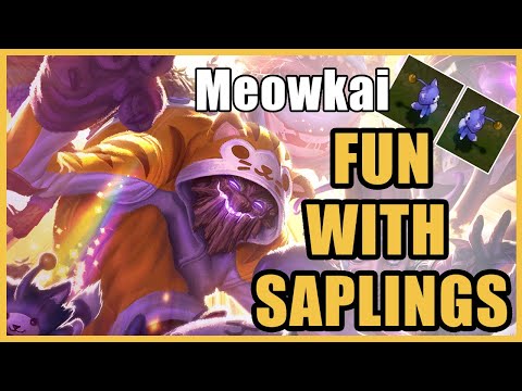 Meowkai support gettin' his roots wet