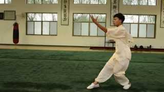 preview picture of video 'xiao jia yi lu / wushi kaimen bajiquan  /  by wu hao'