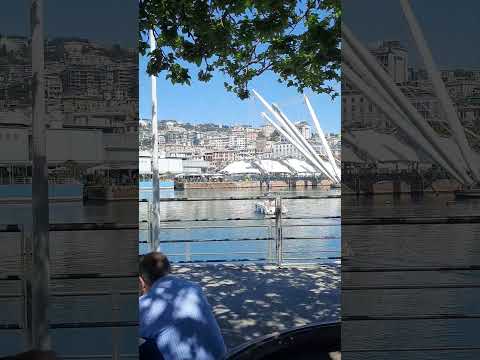 porto Antico di Genova #videoshort #genovamorethanthis #mare #centro #porto
