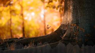 Download lagu Main Hoon Yahaan Studio Mix | New Hope | Ankur Masih | 2016 | mp3 Download lagu Main Hoon Yahaan Studio Mix | New Hope | Ankur Masih | 2016 | mp3