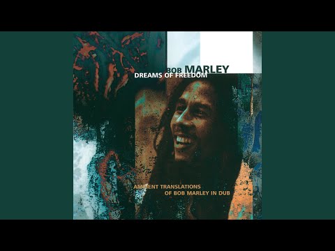 Videoclip de Them Belly Full (But We Hungry) (Bill Laswell Remix) — Bob Marley & The Wailers
