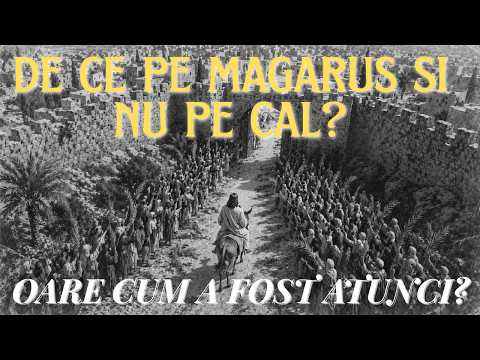 De ce pe măgăruș și nu pe cal?