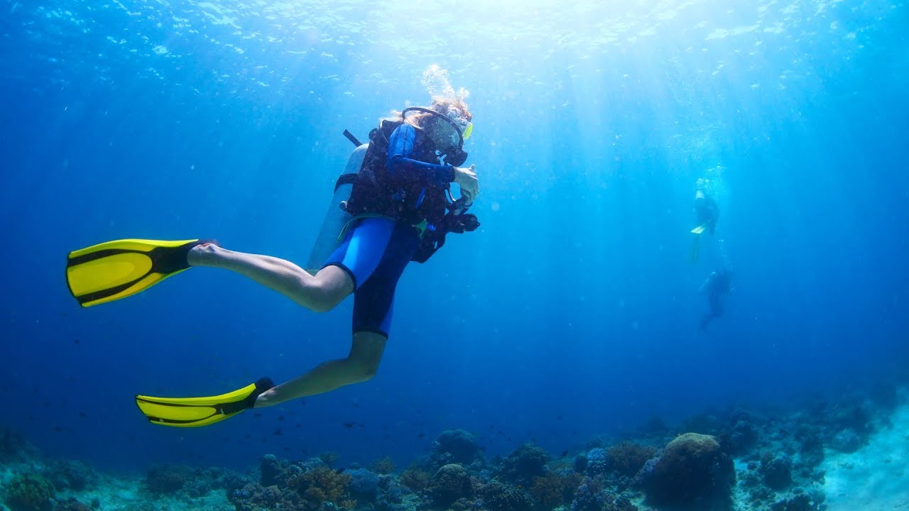 THE EXODUS EXPLORED—Chariots and Coral