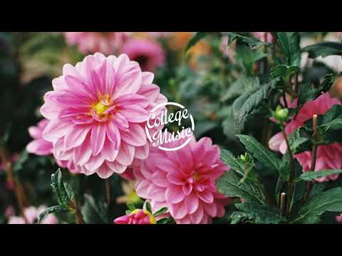 Cosmo's Midnight - Get To Know (feat. Winston Surfshirt)