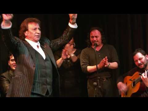 CASA PATAS 29 JOSE CARMONA