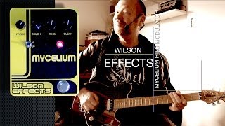 Wilson Effects: MYCELIUM Ring Modulator - Demo
