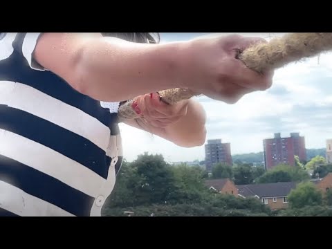 Play Video Youtube Video