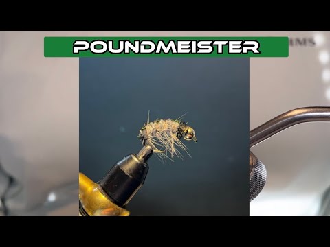 Big Trout Can’t Resist this Fly - Tying the Poundmeister