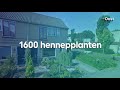 Het extreme geweld van de ‘kwartetmoord’: een kijkje op de crimescene