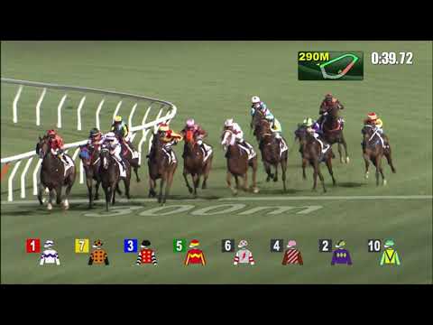 16/3/2022 (501) Viva Mama - Z Purton