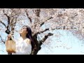 さくらさくら - Sakura Sakura - Japanese traditional folk song