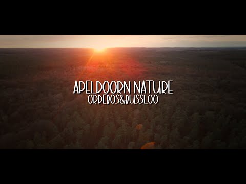 4K cinematic drone footage - Apeldoorn nature (Ordebos&Bussloo)