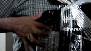 CADETES DE LINARES (EL SOLTERO)