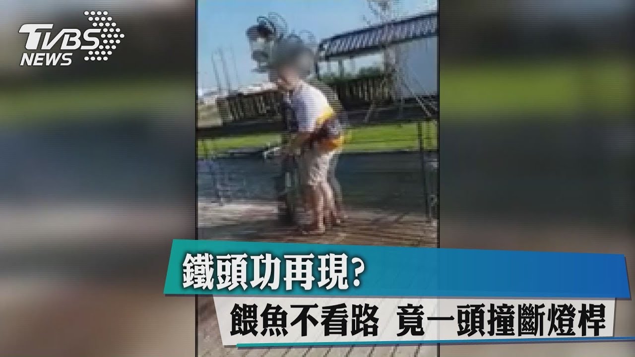 鐵頭功再現？餵魚不看路...竟一頭撞斷燈桿
