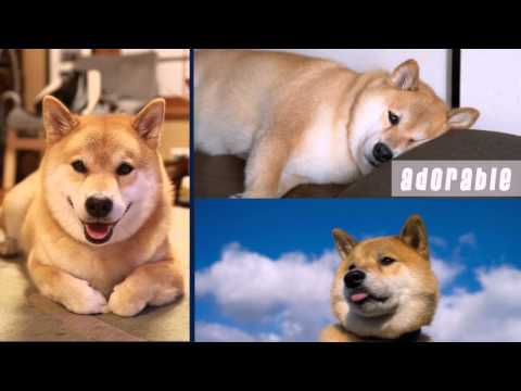 Maru Taro slide by NDTung