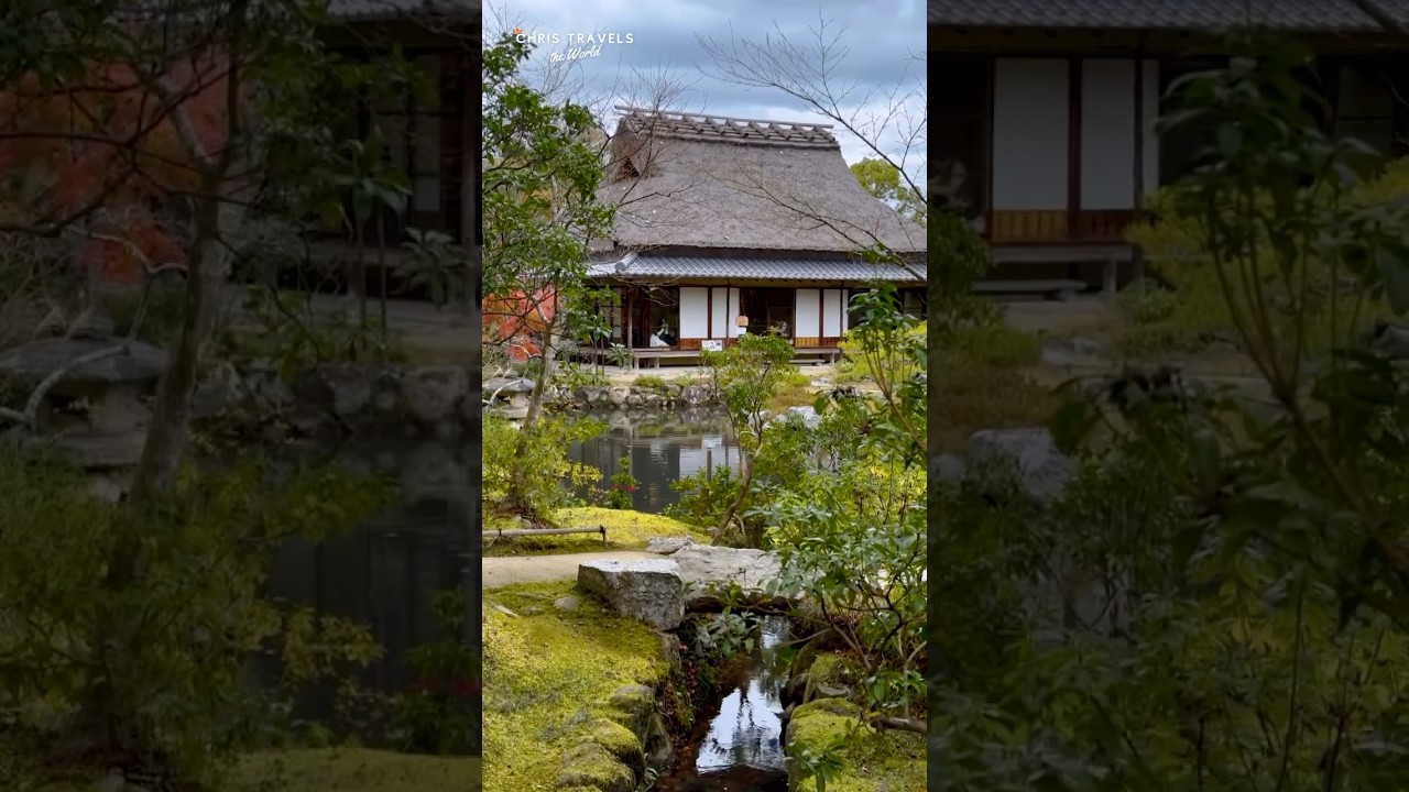 YouTube Short thumbnail