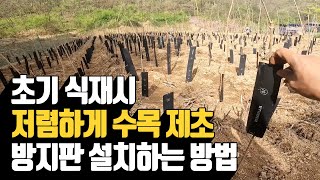 초기 식재시 저렴하게 수목 제초 방지판 설치하는 방법…