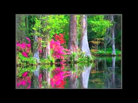 Grateful Dead ~Sugar Magnolia ~ 6-11-76 ~ Boston Music Hall Boston Ma.