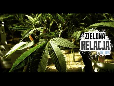 3xklan - Zielona Relacja [HQ]