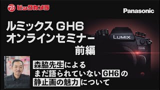 LUMIX GH6�I�����C���Z�~�i�[�O��
