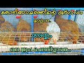 ഒട്ടും ചെലവില്ലാതെ കോഴിക്കൂട്ടിലെ ദ�
