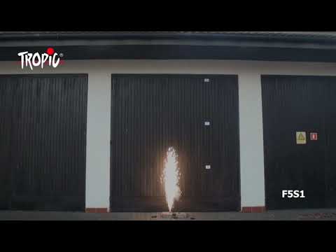 F5S1 - T1 Jetfontäne Tropic