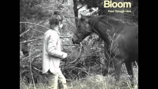 Kath Bloom - Criminal Side