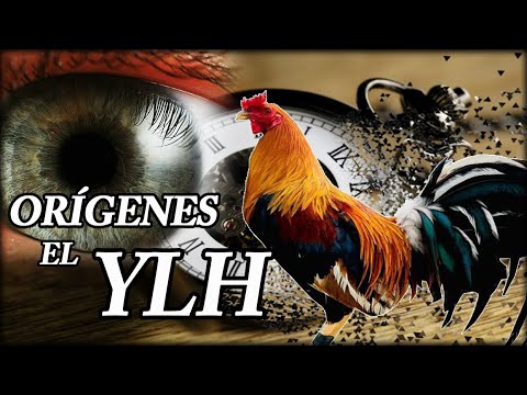 Yellow Leg Hatch historia