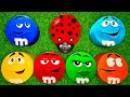 6 Minutes Satisfying With ASMR Unboxing Radiant M M S And Delicious Munz Candy From Surprise Boxes