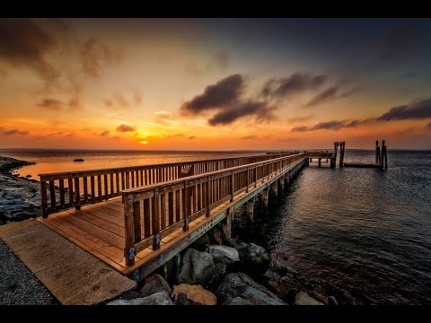 YouTube video about: Are dogs allowed at colt state park?